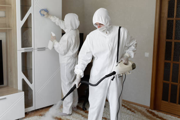 Mold Remediation for Vacation Homes in Yoe, PA